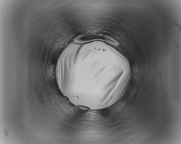 X0000100750280200807101711