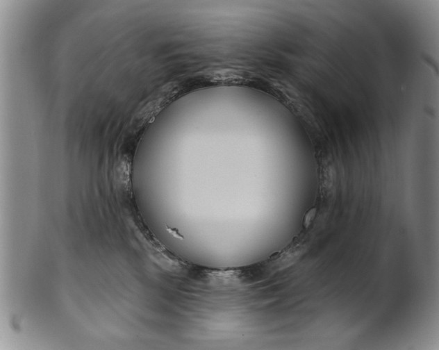 X0000100750281200807101711