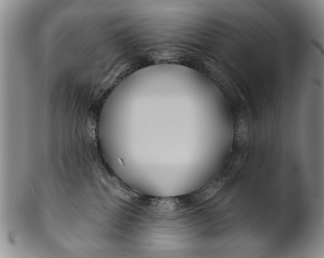 X0000100750282200807101711