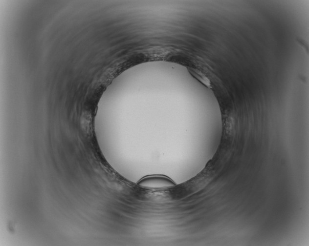 X0000100750283200807101711