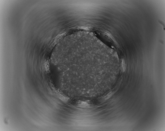 X0000100750285200807101711