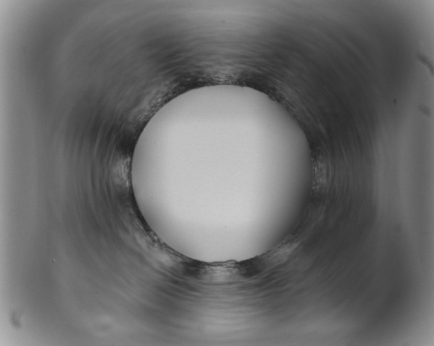 X0000100750286200807101711