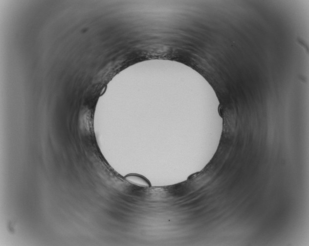 X0000100750287200807101711