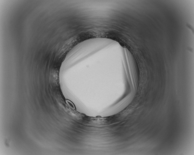 X0000100750288200807101711