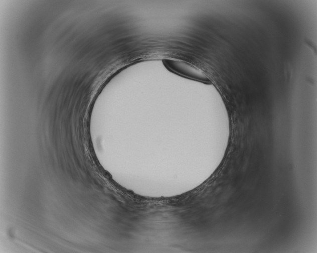 X0000100750289200807101710