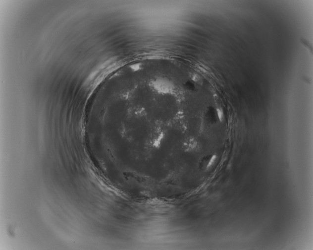 X0000100750290200807101710