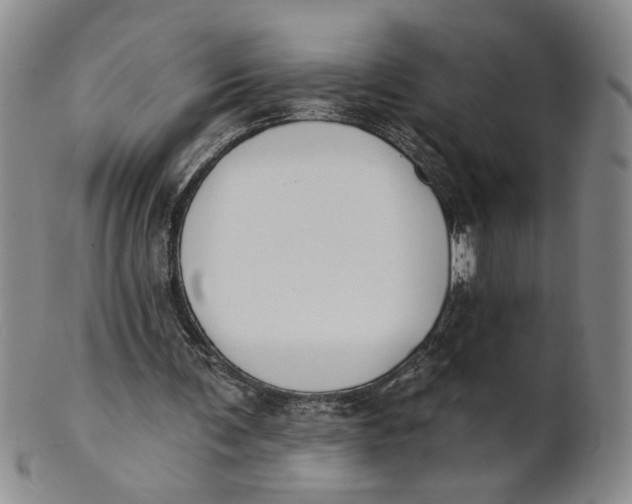 X0000100750291200807101710