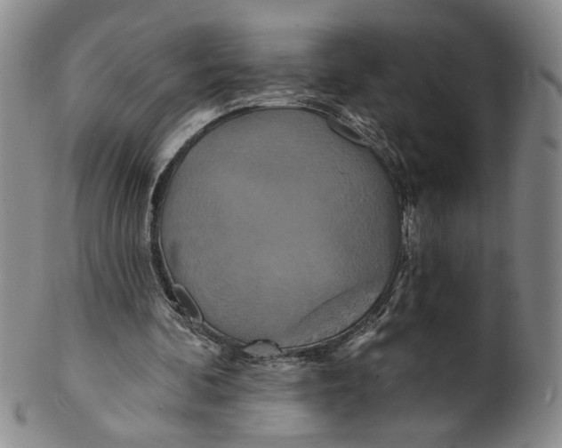 X0000100750292200807101710