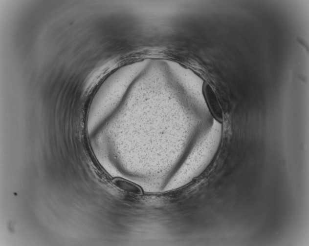 X0000100750293200807101710