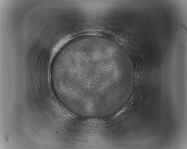 X0000100750294200807101710