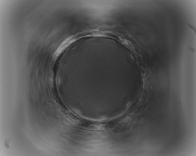 X0000100750295200807101710