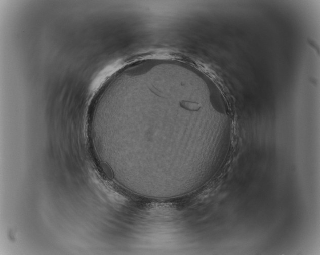 X0000100750296200807101710