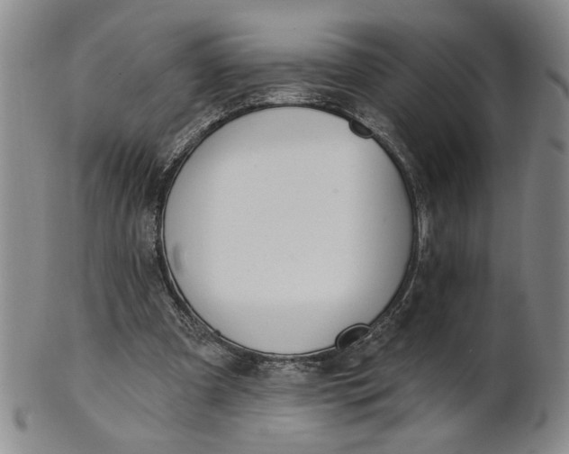 X0000100750297200807101710