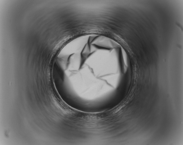 X0000100750298200807101710