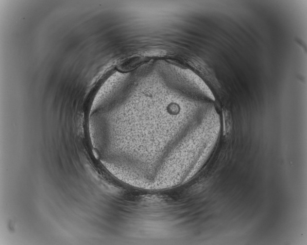 X0000100750300200807101710