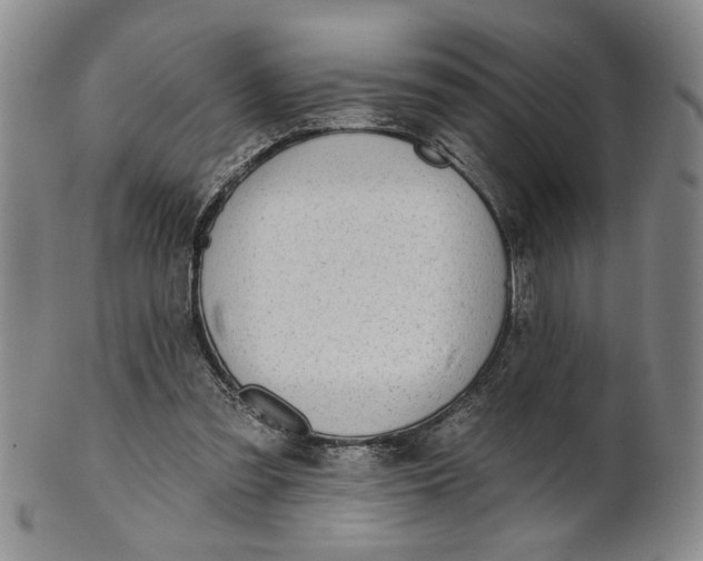 X0000100750301200807101710