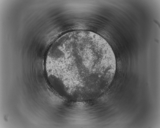 X0000100750302200807101710