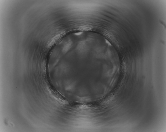 X0000100750303200807101710