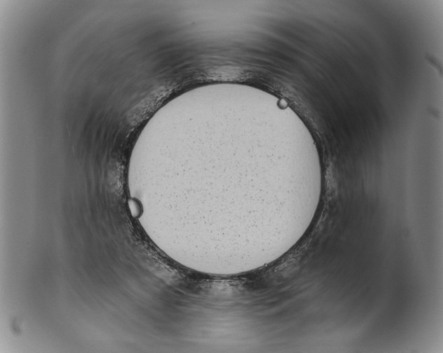 X0000100750305200807101710