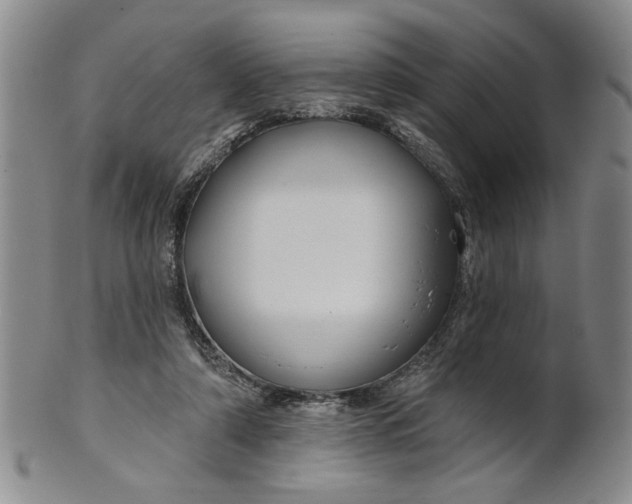 X0000100750306200807101710