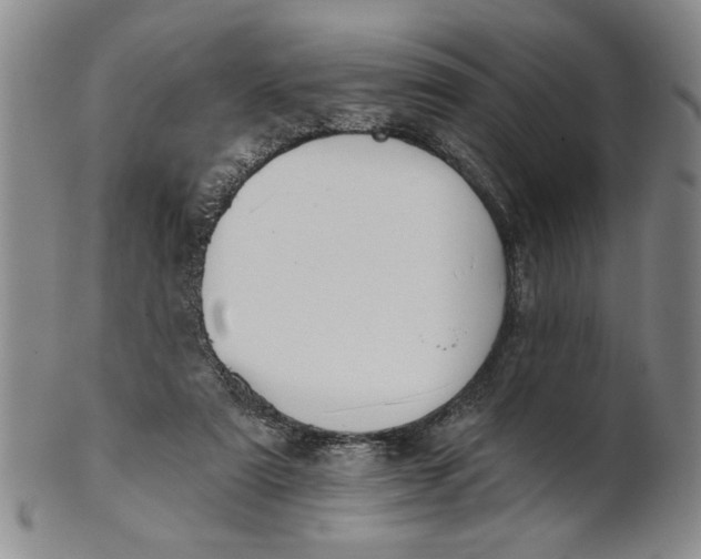 X0000100750307200807101710