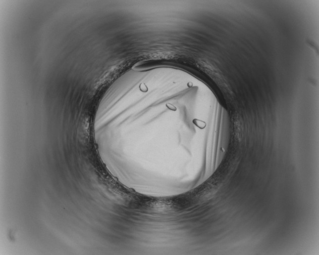 X0000100750308200807101710