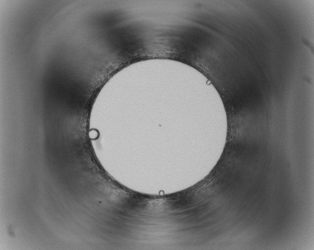 X0000100750309200807101710