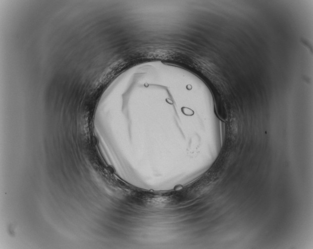 X0000100750312200807101710