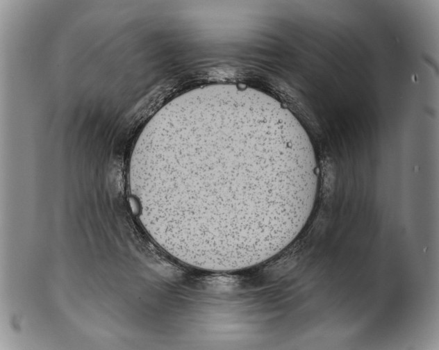 X0000100750313200807101710