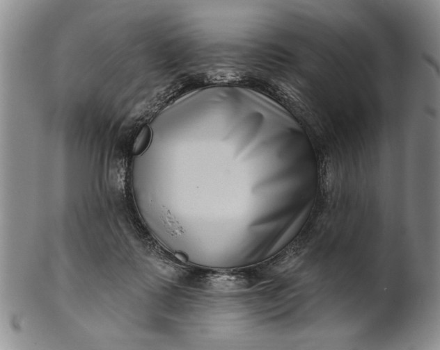 X0000100750315200807101710