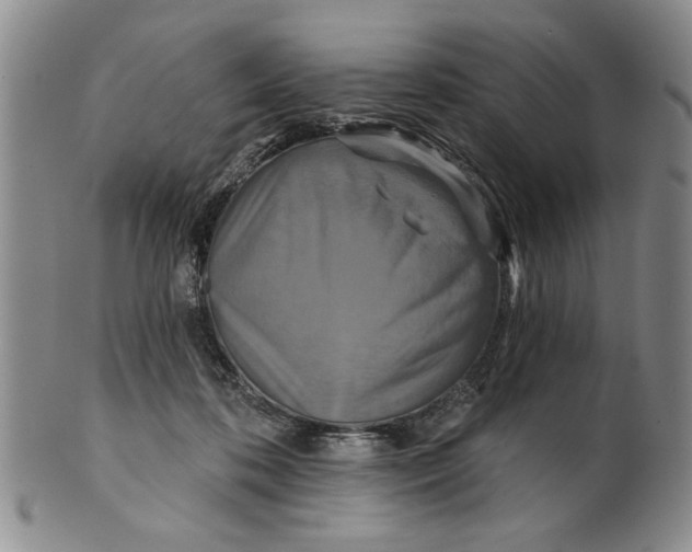 X0000100750316200807101710