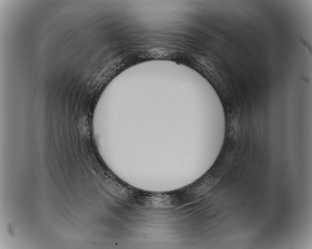 X0000100750317200807101710