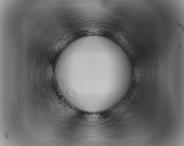 X0000100750318200807101710