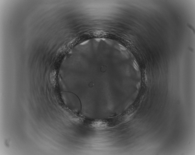 X0000100750319200807101710