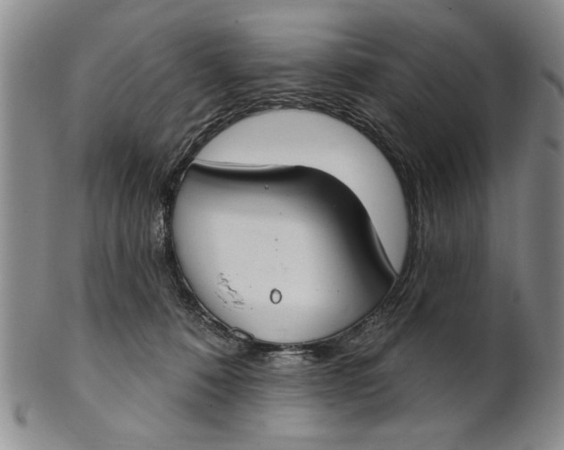 X0000100750320200807101710