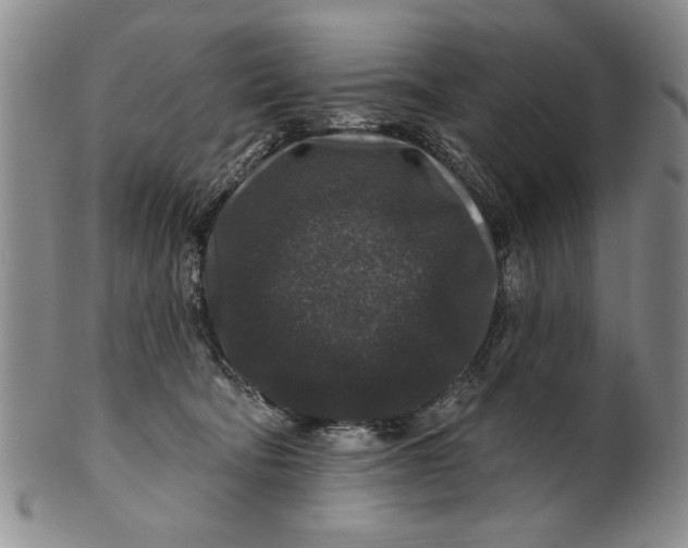 X0000100750322200807101710