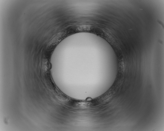 X0000100750323200807101710