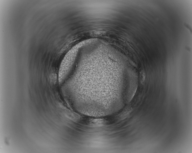 X0000100750324200807101710