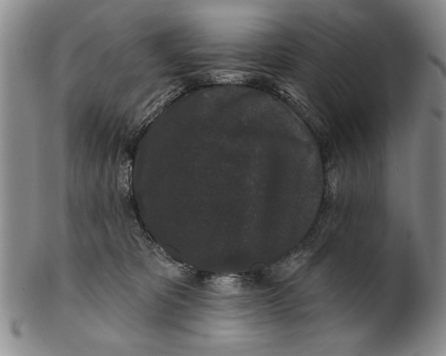 X0000100750325200807101710