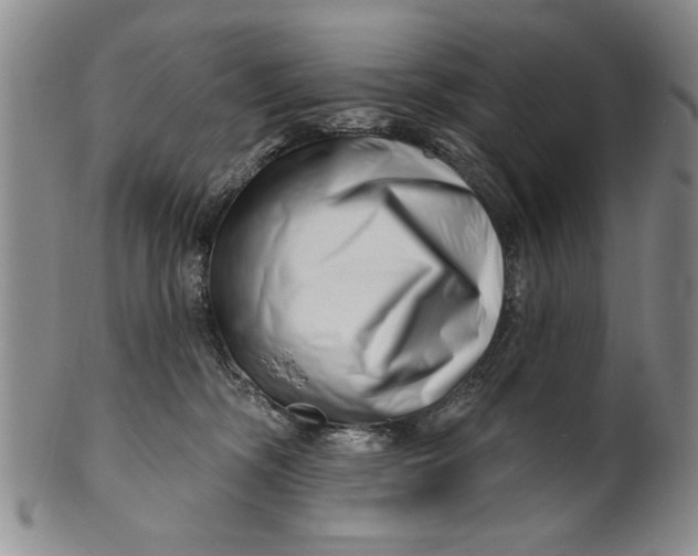 X0000100750326200807101710