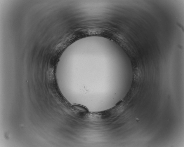 X0000100750327200807101710