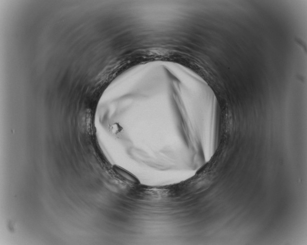 X0000100750328200807101710