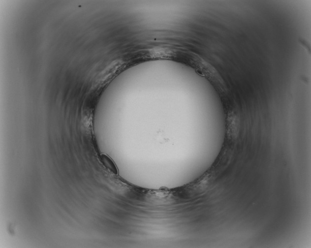 X0000100750329200807101710