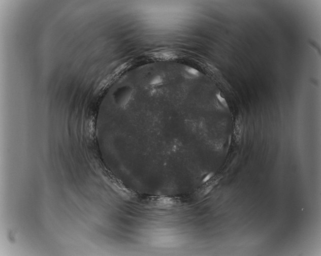 X0000100750330200807101710