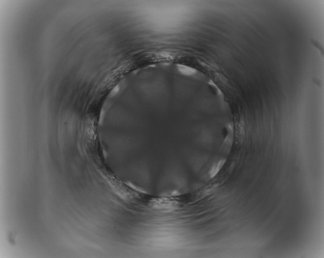 X0000100750331200807101710