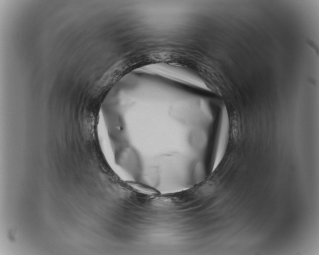 X0000100750332200807101710