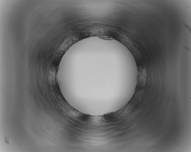 X0000100750333200807101710