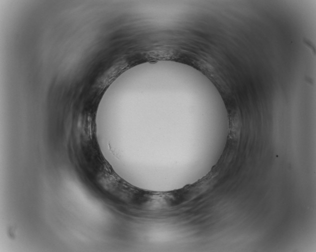 X0000100750334200807101710