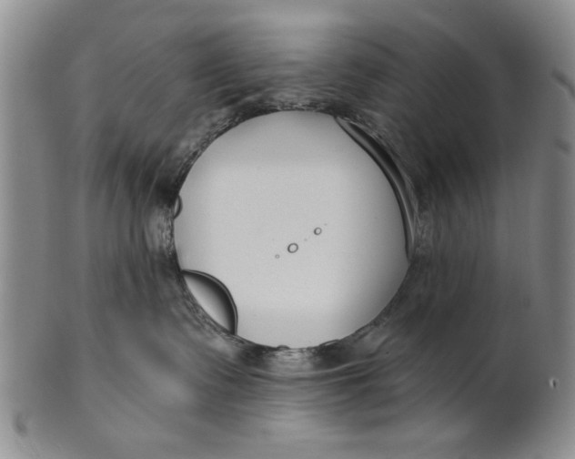 X0000100750335200807101710