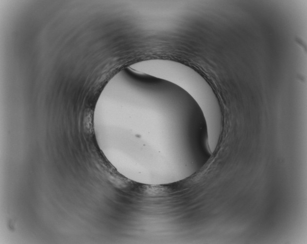 X0000100750336200807101710